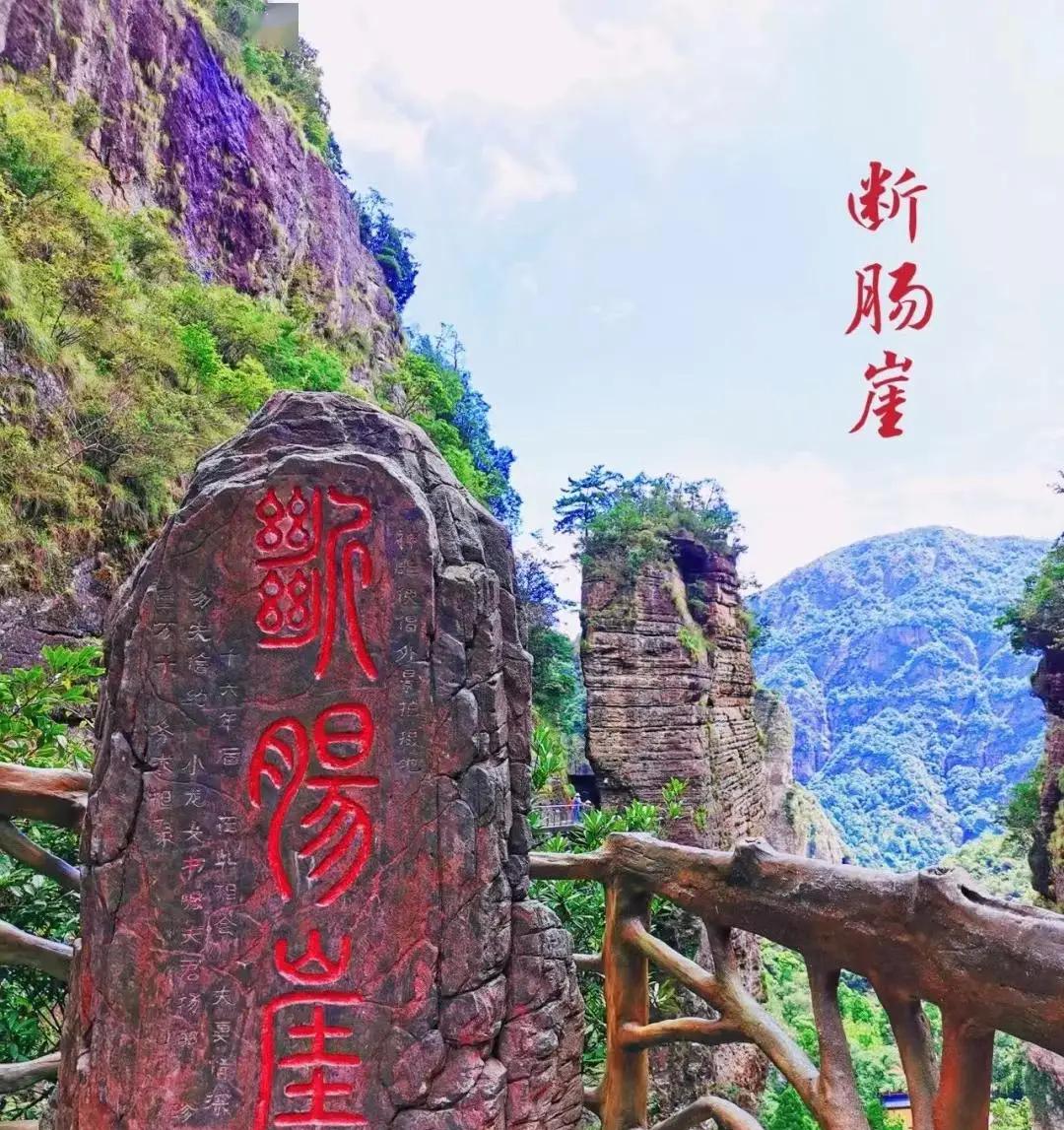 温州本地旅游团_温州旅游网_温州旅游团