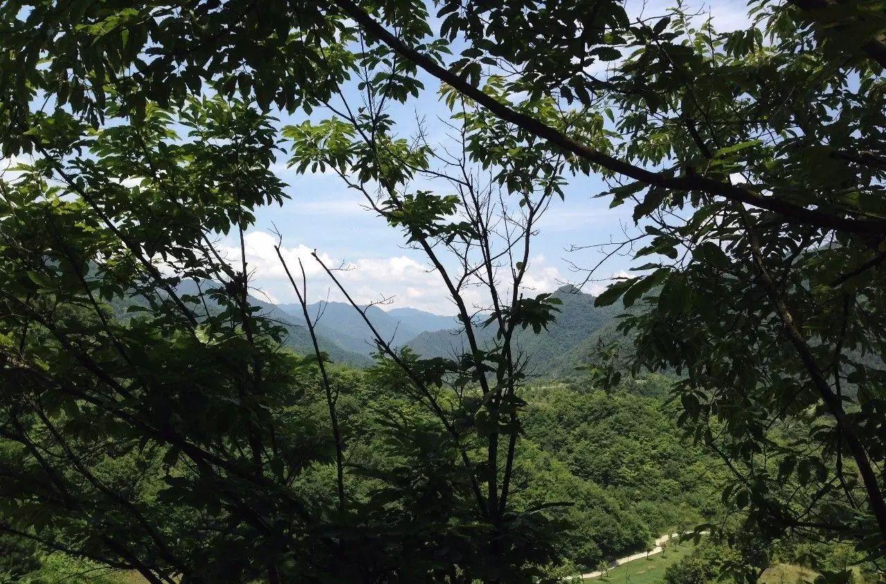 蓝田县旅游景点_蓝田县旅游攻略_蓝田县旅游景点一日游攻略